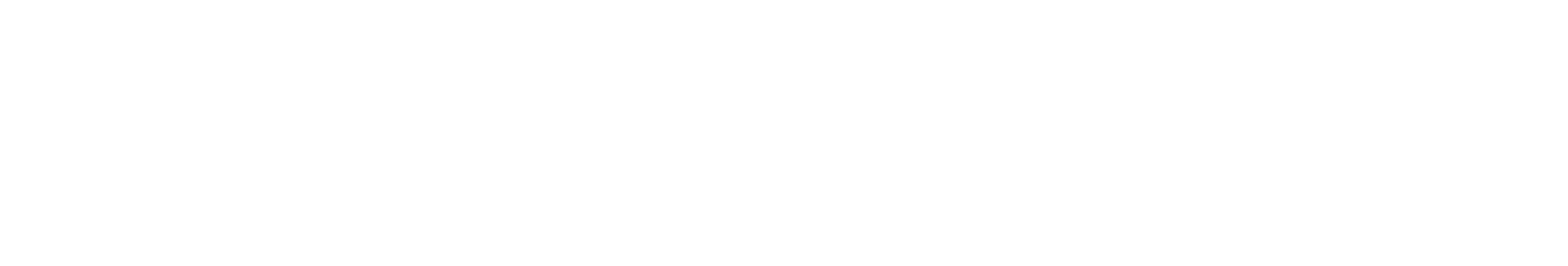 City to City Chinese NY